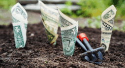 How to Apply for Small Business Loans with Bad Credit