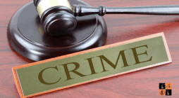 Difference Between Civil and Criminal Law Explained